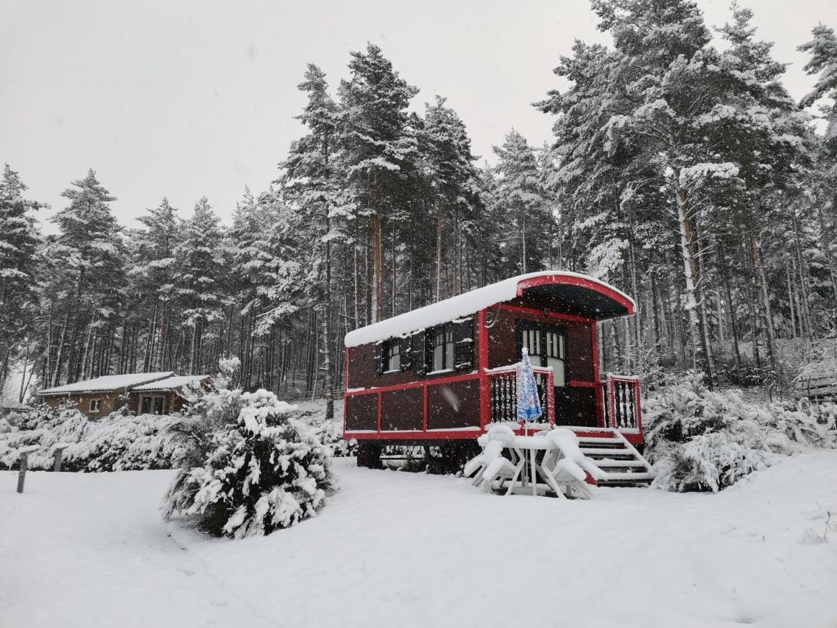 Les Chalets Du Haut-Forez Usson-en-Forez Exterior photo