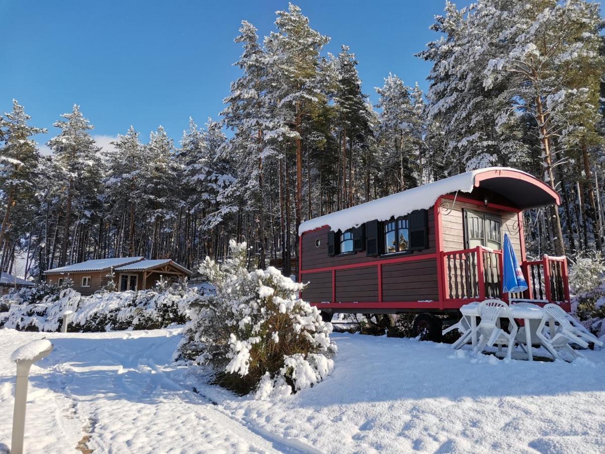 Les Chalets Du Haut-Forez Usson-en-Forez Exterior photo