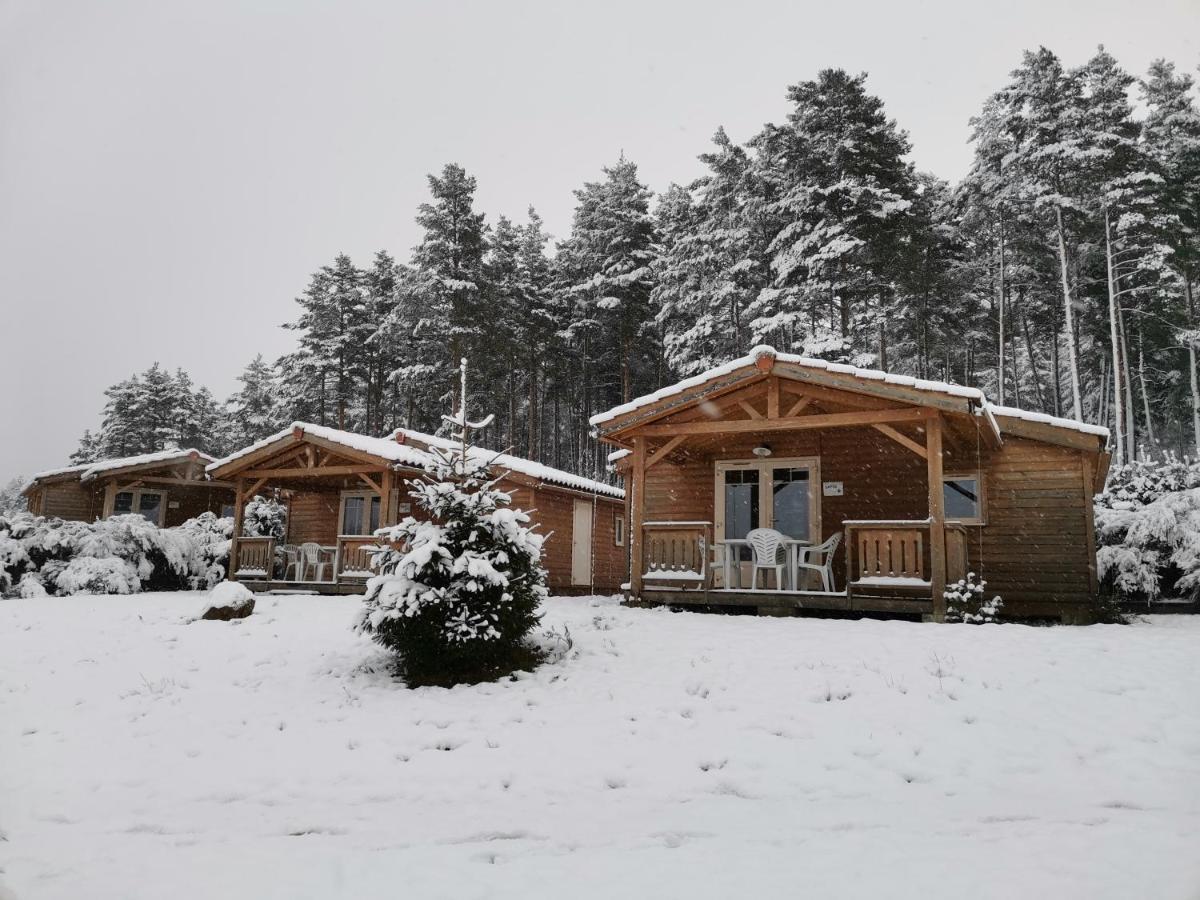 Les Chalets Du Haut-Forez Usson-en-Forez Exterior photo