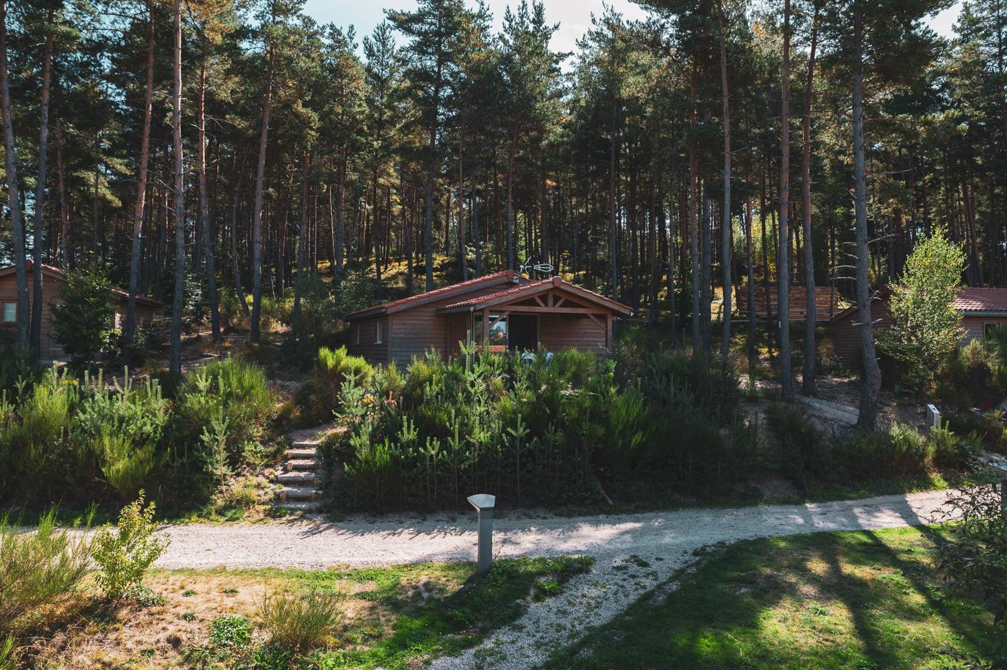 Les Chalets Du Haut-Forez Usson-en-Forez Exterior photo