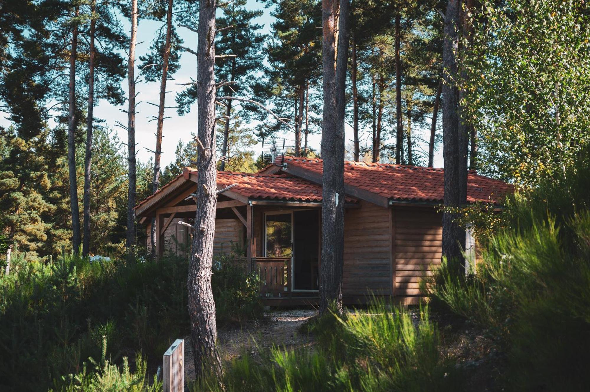 Les Chalets Du Haut-Forez Usson-en-Forez Exterior photo