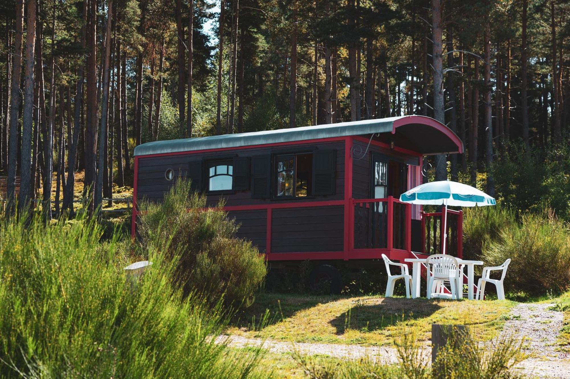 Les Chalets Du Haut-Forez Usson-en-Forez Exterior photo